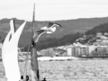 F18 Worlds Spain 2008 Monday-357.jpg