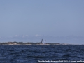 Stockholm Archipelago Raid 2015-5889